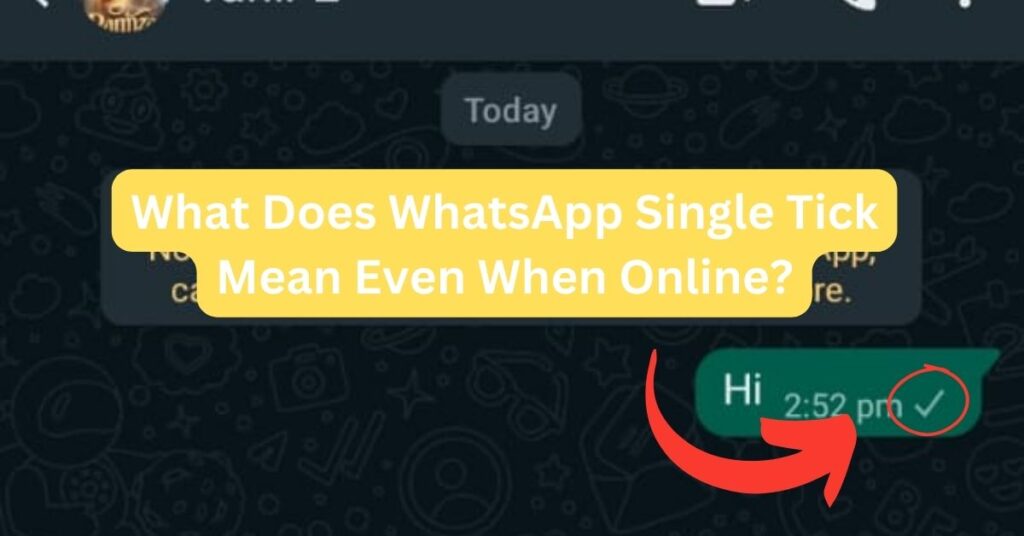 What Does WhatsApp Single Tick Mean Even When Online?