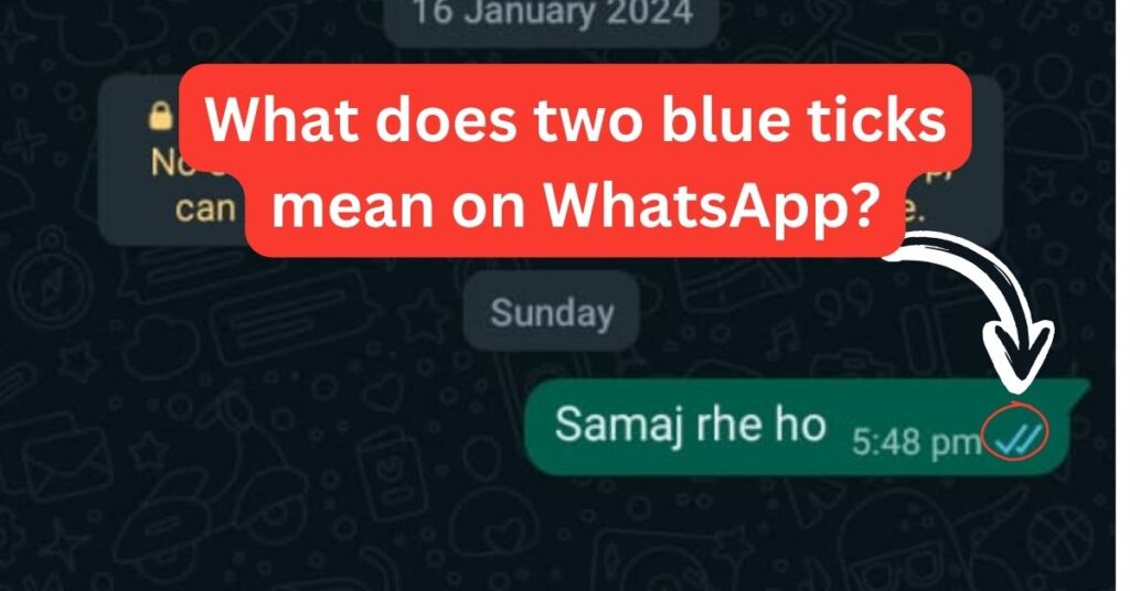 What does two blue ticks mean on WhatsApp?