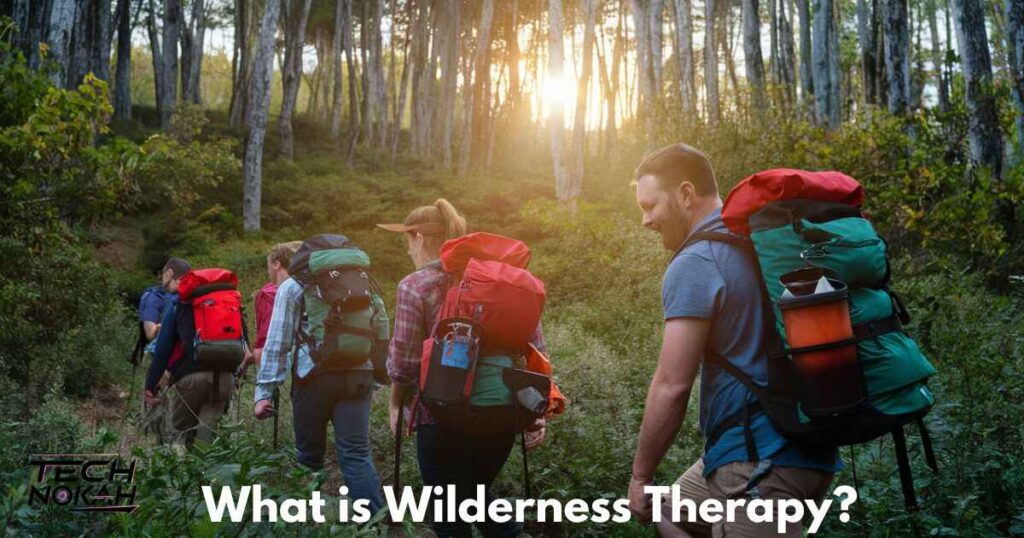 What is Wilderness Therapy?